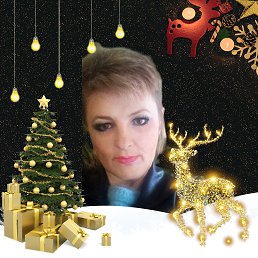 ���� �������, ������, 49 ��� - ��������� 22 ������� 2023