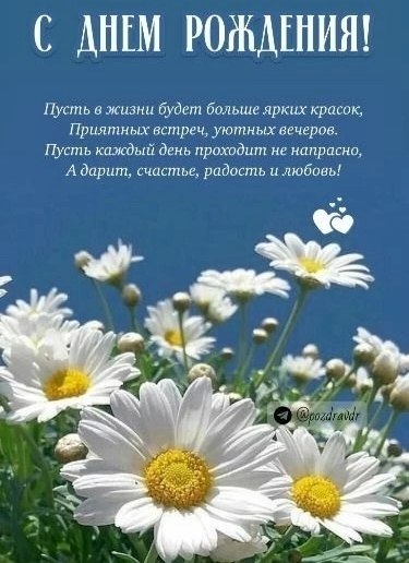   ,    . - 7  2025  14:01