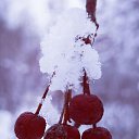 ���� �������, ������, 64 ���� - ��������� 10 ������ 2024 � ������ �����