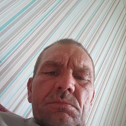 , 55, 