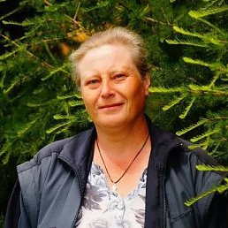 , 55, 