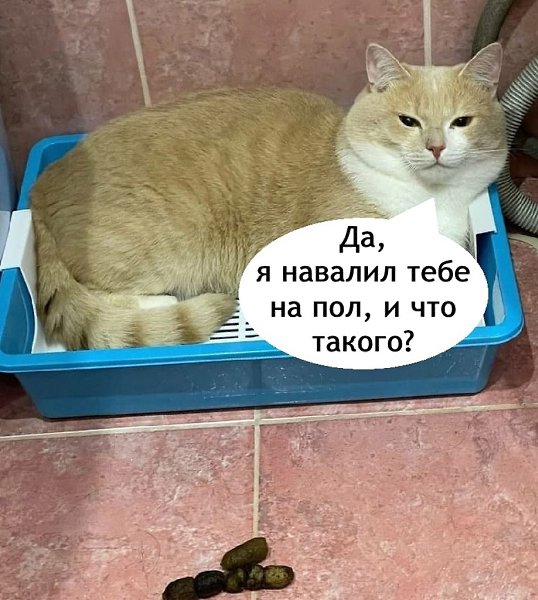     - 2