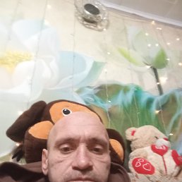 ����, 43 ����, ����