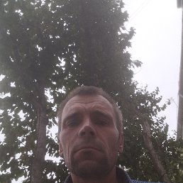 , 43, 