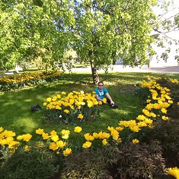 ���� ������ ��������, ������, 44 ���� - ��������� 20 ������� 2023