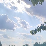 , 41 , 
