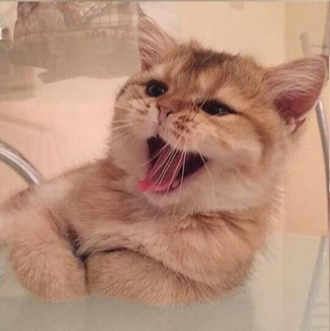       - 15  2025  17:35 - 3