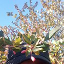 ���� ��������, ���, 37 ��� - ��������� 9 ������ 2024 � ������ ���� ����������