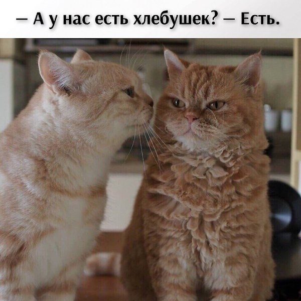 ��� ���� � ����� �� �� - 19 ������ 2026 � 21:42 - 2