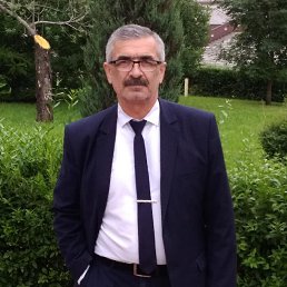 , 61, 
