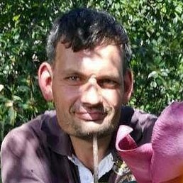 �����, ���������� �����, 45 ���