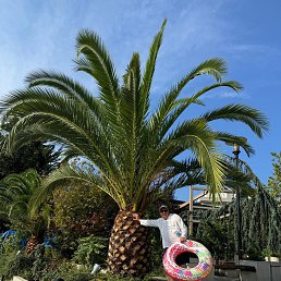 ������, 45 ���, ���������