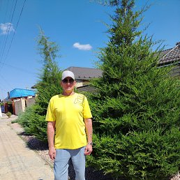 ., 63 , 
