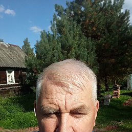 , 71,  