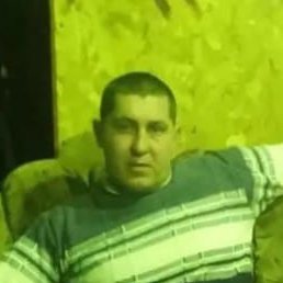 �������, ������, 41 ���