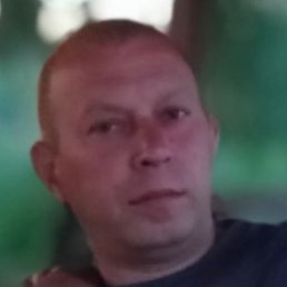 �������, ������, 41 ���