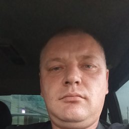 , 40, 