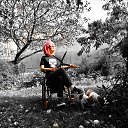 ���� �����, ������, 37 ��� - ��������� 19 ����� 2026