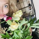 ���� ��������, ������������, 41 ��� - ��������� 13 ��� 2026 � ������ ���� ����������