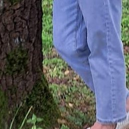 ������ ���������, ��������, 56 ���