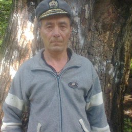 �������, 65 ���, �������