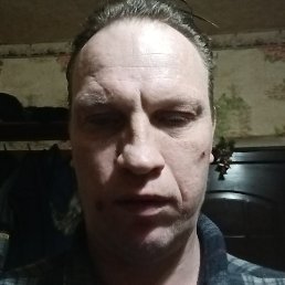 �����, �������, 41 ���