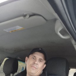 , 41, 
