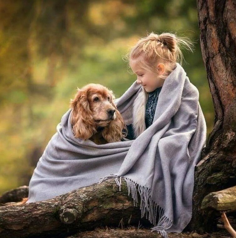 ������� �������� ������������. ��� ������ ����������� �������� � �������� � �������.