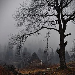 ����, ������, 45 ���