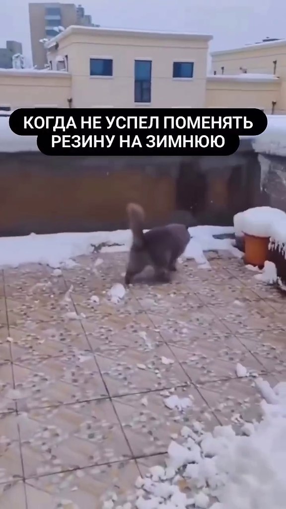,   !)