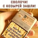 ���� �����, ������, 106 ��� - ��������� 8 ���� 2024 � ������ ������ ��������