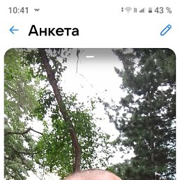 ���� �������, 46 ���, ������������