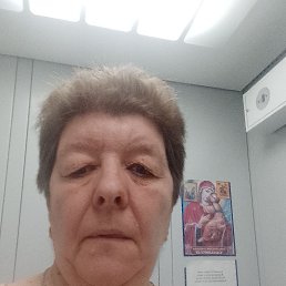 , 56, 