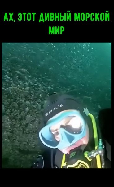 �����: ��� ��� ��� ����� �� ������! - 2