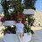 ���� 2026. ���� � ������