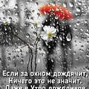 ���� ��������, ������������ - ��������� 25 ������ 2026 � ������ ������ ��������