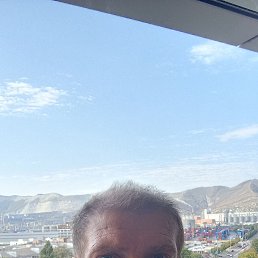, 44, 