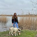 ���� ������ ��������, ������������ - ��������� 31 ���� 2024 � ������ ���� ����������
