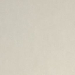 ��������, ������, 48 ���