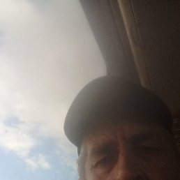 , 58 , 