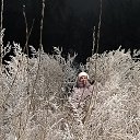 ���� ����, �������, 43 ���� - ��������� 2 ��� 2026 � ������ ���� ����������