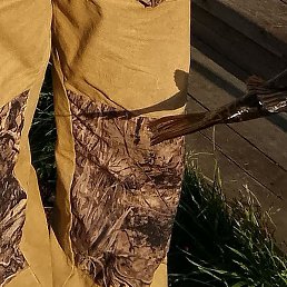 ��������, ������, 64 ����