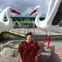 ���� ����, ���������, 65 ��� - ��������� 27 ������ 2025 � ������ ���� ����������