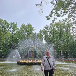 , 50 , -