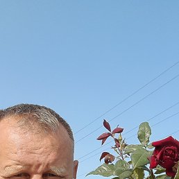 , 44, 
