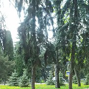 Василий, 41 год, Москва Василий, 41 год, Москва
