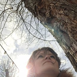 �����, ������, 45 ���