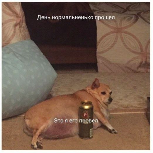    - 27  2024  11:35