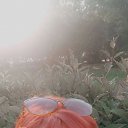  , , 49  -  26  2025    