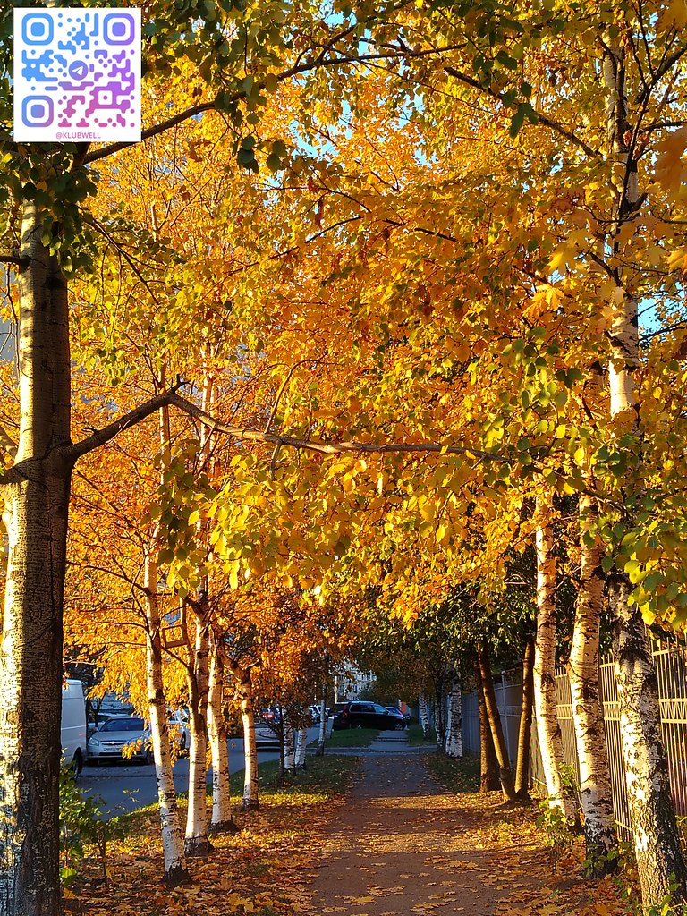 ������ �� ��� ������. �� ������ �� ������ ������. �� ������ ������ ��������� ����� - ������, ����� ...